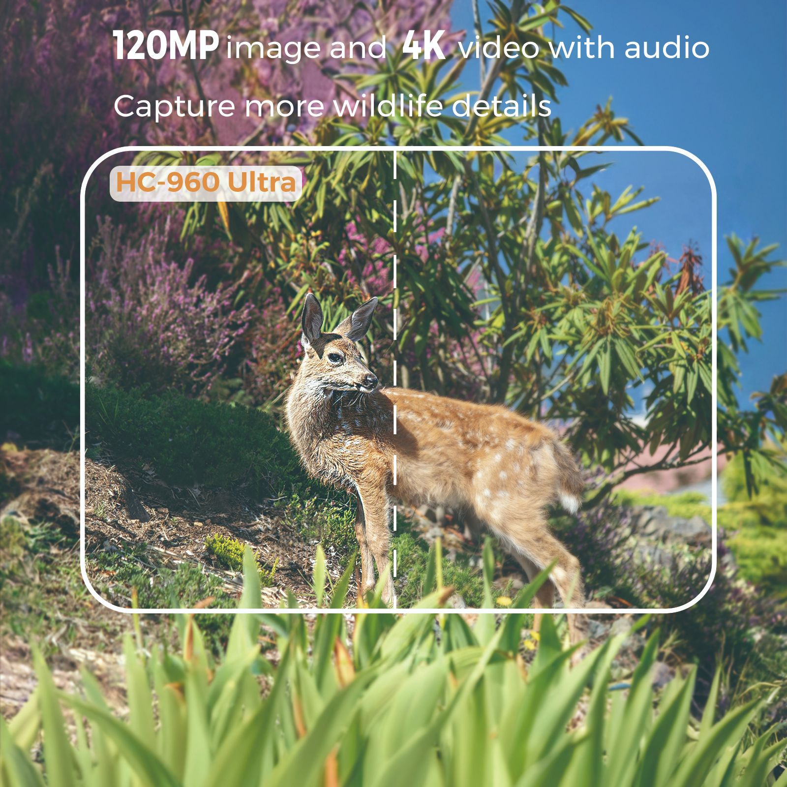Zewnętrzna kamera 4K z nagrywa – Hunting Outdoor Camera recenzja i cena