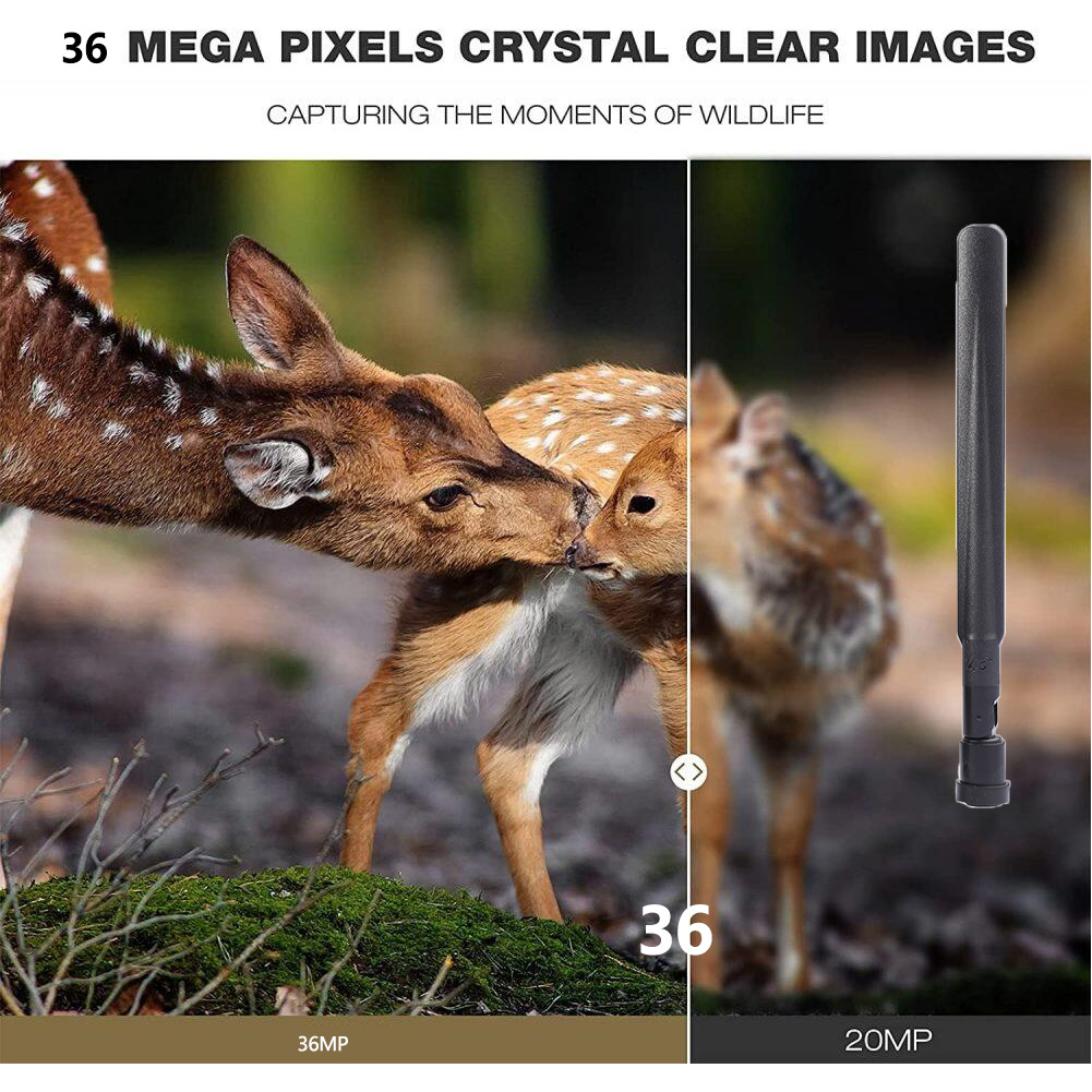 Kamera myśliwska HC-801Pro do  – Outdoor Hunting Pictures recenzja i cena
