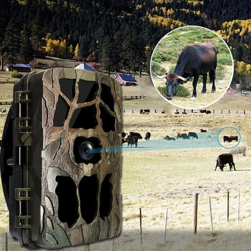 H982 IP66 wodoodporna 4K zewnę – Hunting Outdoor Camera recenzja i cena